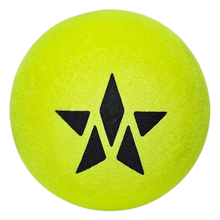 Load image into Gallery viewer, Master Athletics High Visibility (HV) Platform Tennis Ball (sleeve)