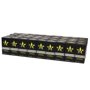 Master Athletics High Visibility (HV) Platform Tennis Ball (Case)